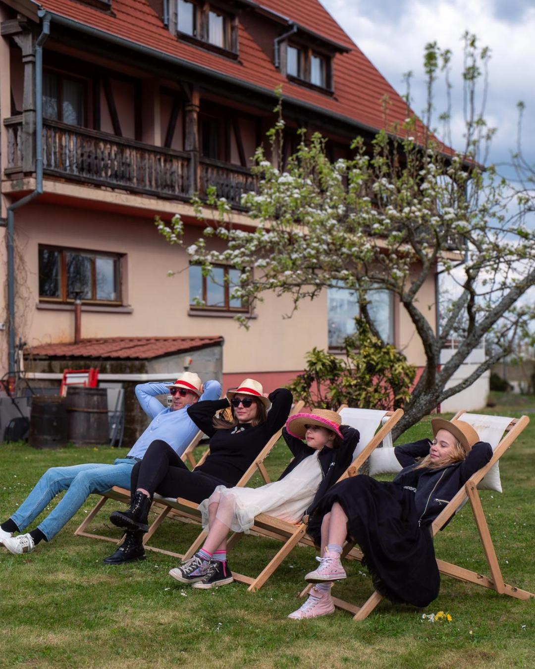 Hotel Restaurant Verger Des Chateaux, Route Des Vins Haut-Koenigsbourg Dieffenthal Dış mekan fotoğraf