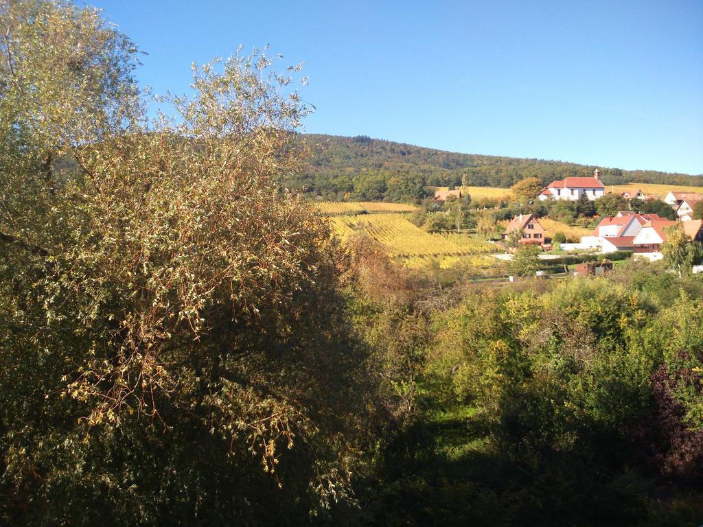 Hotel Restaurant Verger Des Chateaux, Route Des Vins Haut-Koenigsbourg Dieffenthal Dış mekan fotoğraf