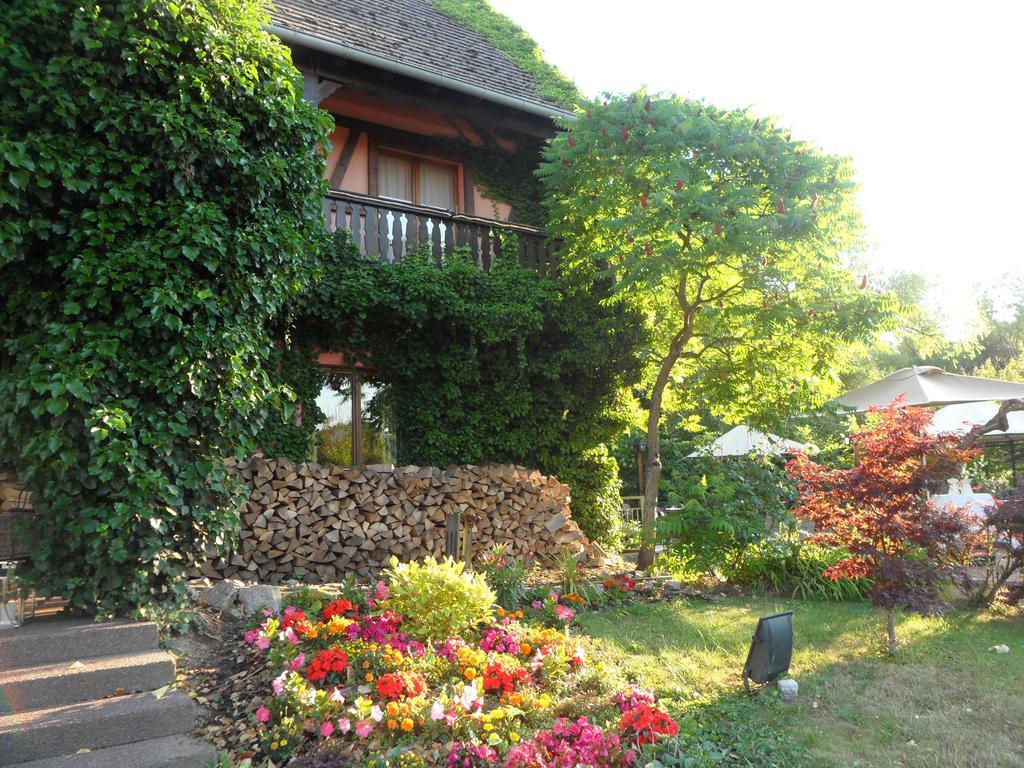 Hotel Restaurant Verger Des Chateaux, Route Des Vins Haut-Koenigsbourg Dieffenthal Dış mekan fotoğraf
