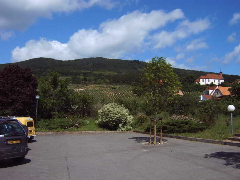 Hotel Restaurant Le Verger Des Chateaux, The Originals Relais Dieffenthal Dış mekan fotoğraf