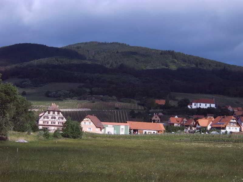 Hotel Restaurant Le Verger Des Chateaux, The Originals Relais Dieffenthal Dış mekan fotoğraf