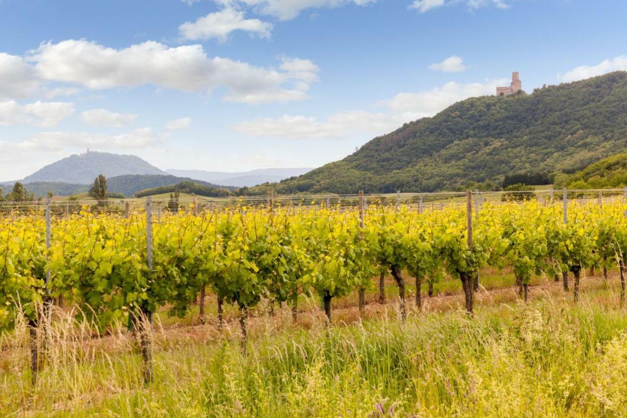 Hotel Restaurant Verger Des Chateaux, Route Des Vins Haut-Koenigsbourg Dieffenthal Dış mekan fotoğraf